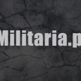 Militaria
